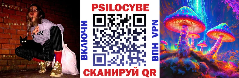 Псилоцибиновые грибы Psilocybe  Короча 